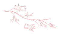 重塑电竞体验，专业致胜 - PG