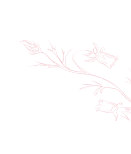 PG