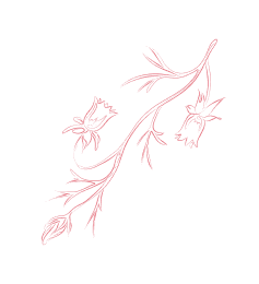 PG