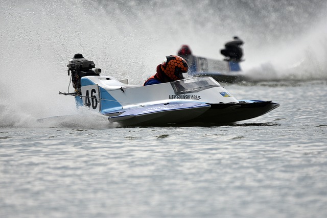 森林狼彻底 森林狼彻底