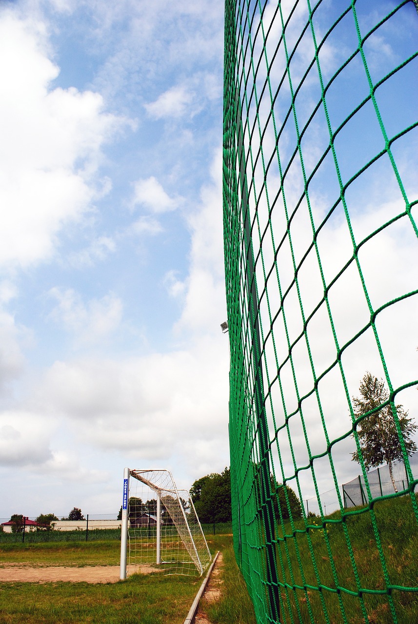 詹金斯的执 詹金斯的执