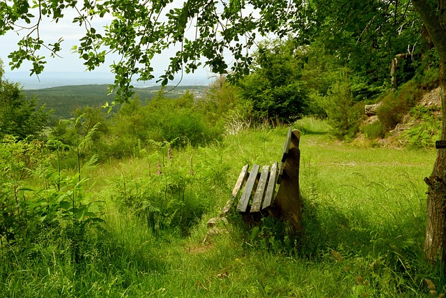 夺冠概率1：9！阿森纳拿什么去阻拦曼城的4连冠伟业呢？！.