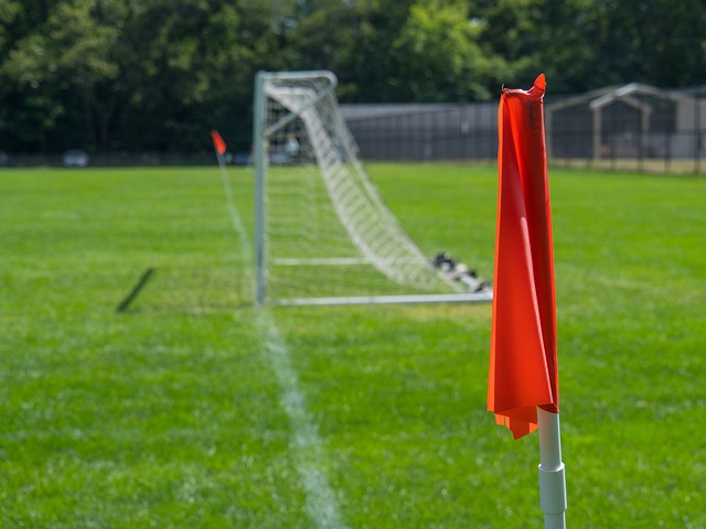 并对未来政 并对未来政