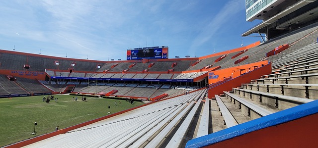 迷的呐喊支 迷的呐喊支