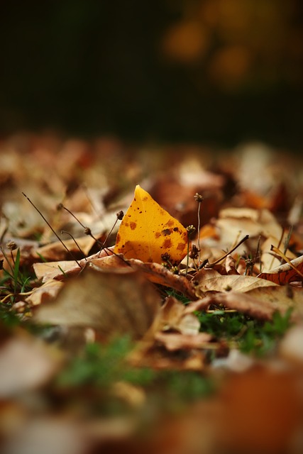 成为了聚光 成为了聚光