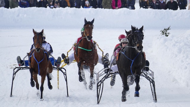 限的史蒂夫 限的史蒂夫